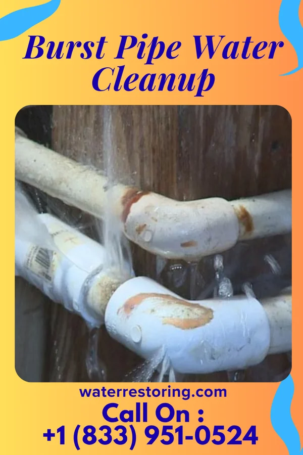 Burst Pipe Water Cleanup in Westfield Center, OH