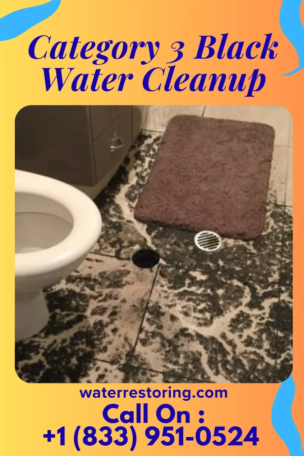 Category 3 Black Water Cleanup in Westfield Center, OH