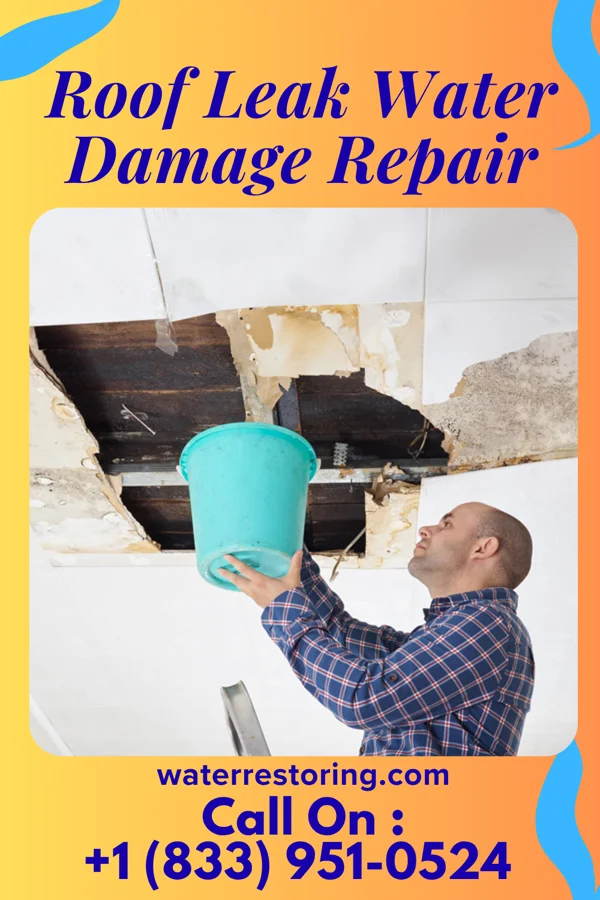 Roof Leak Water Damage Repair in Westfield Center, OH