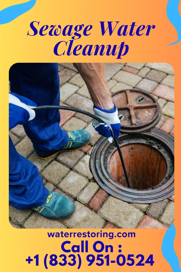 Sewage Water Cleanup in Westfield Center, OH