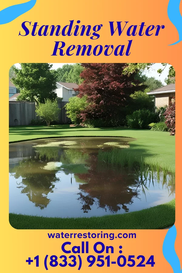 Standing Water Removal in Westfield Center, OH